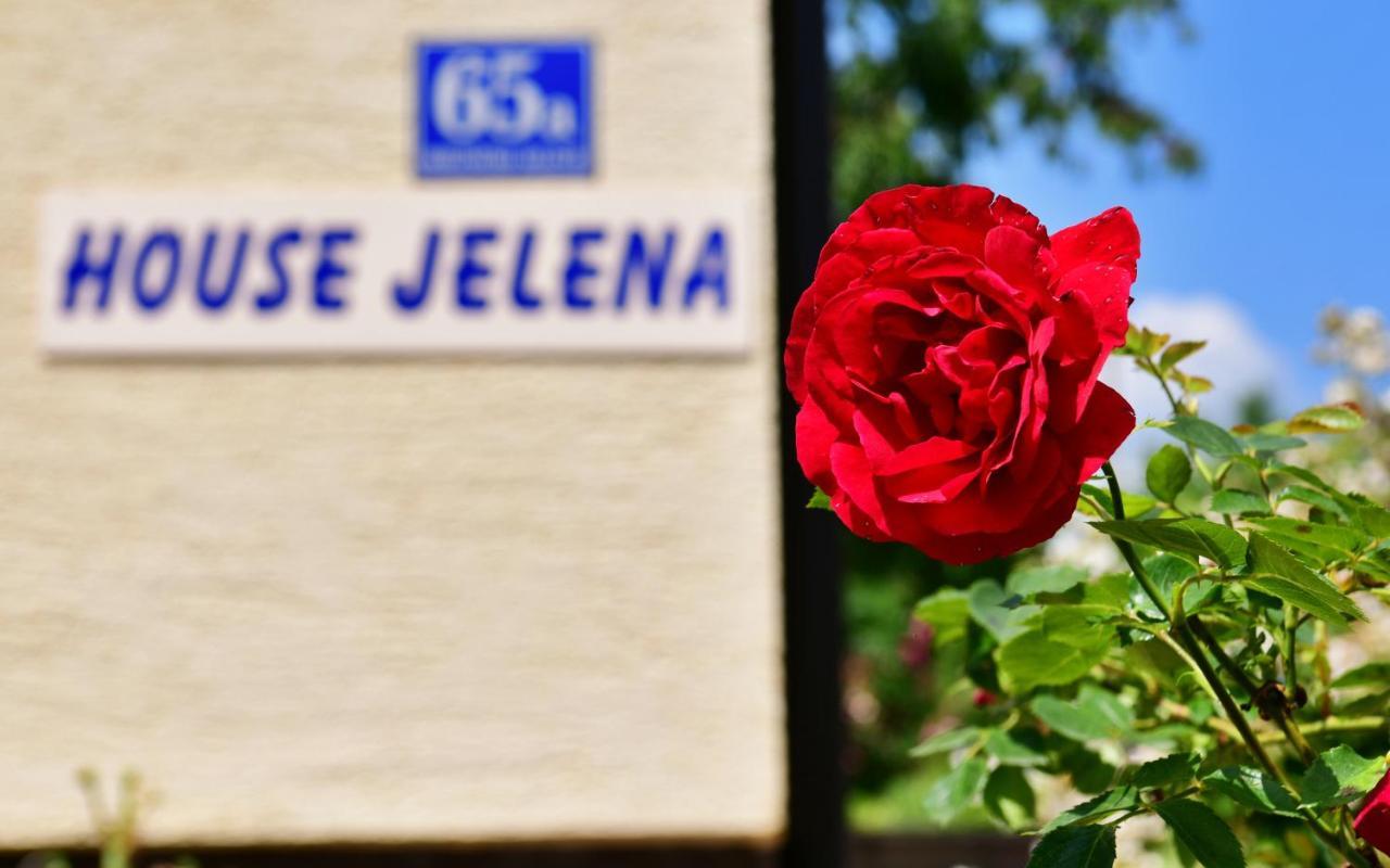 House Jelena Lägenhet Seliste Dreznicko Exteriör bild