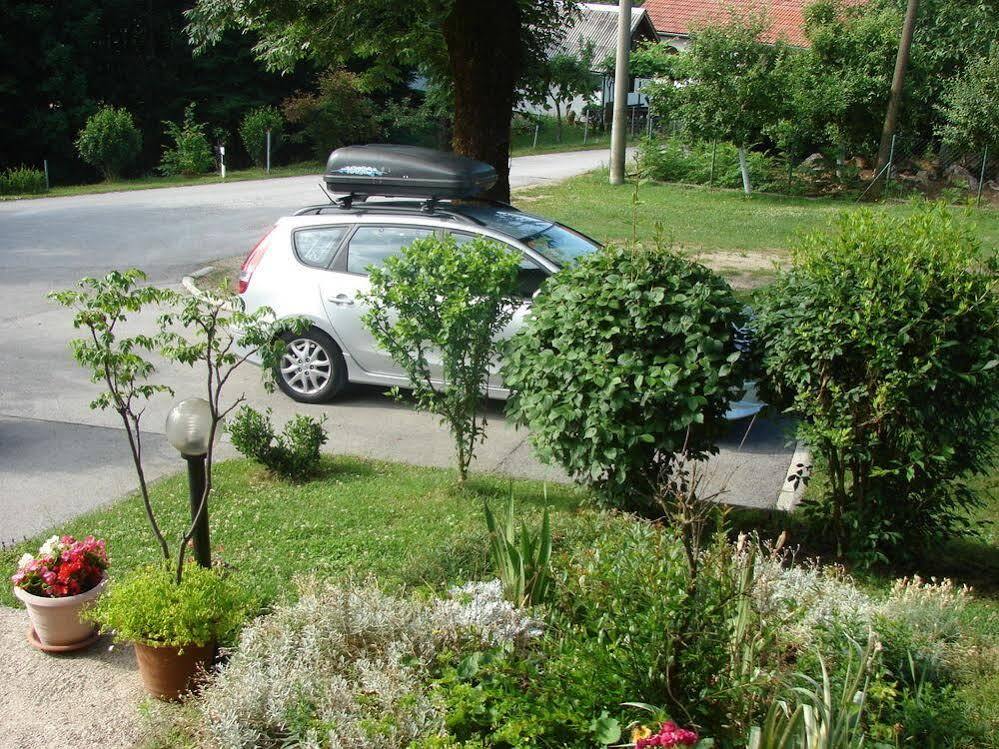 House Jelena Lägenhet Seliste Dreznicko Exteriör bild